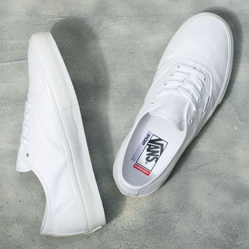 Zapatillas-MN-Skate-Authentic-True-White
