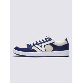 Zapatilla Unisex Lowland CC Multicolor Vans